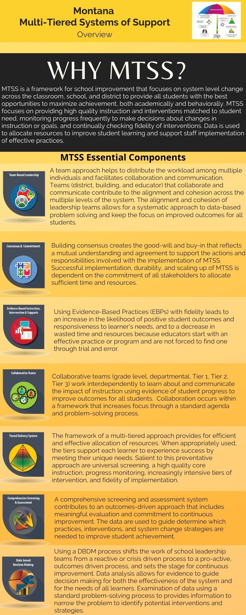 Why MTSS Infographic